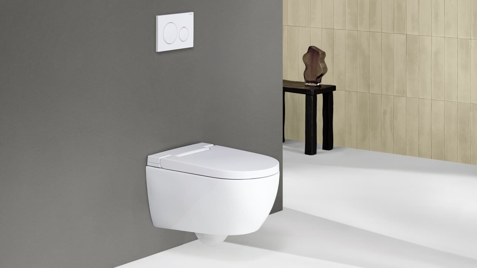Geberit AquaClean Alba met afstandsbediening Sigma20 Geberit AquaClean Alba met afstandsbediening Sigma20