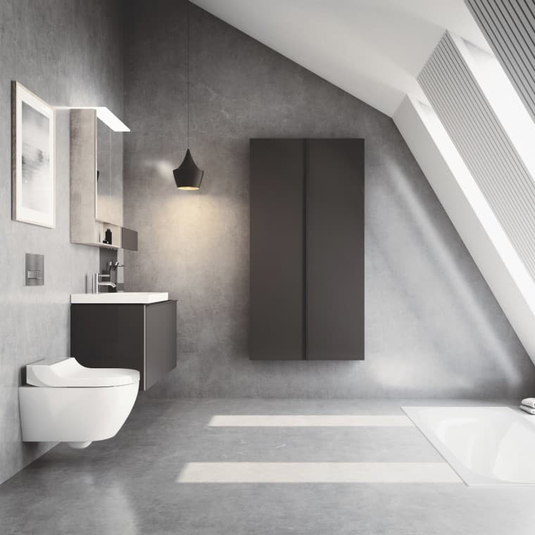 Geberit AquaClean Tuma douche-wc met geborsteld roestvrij stalen kap Geberit AquaClean Tuma douche-wc met geborsteld roestvrij stalen kap