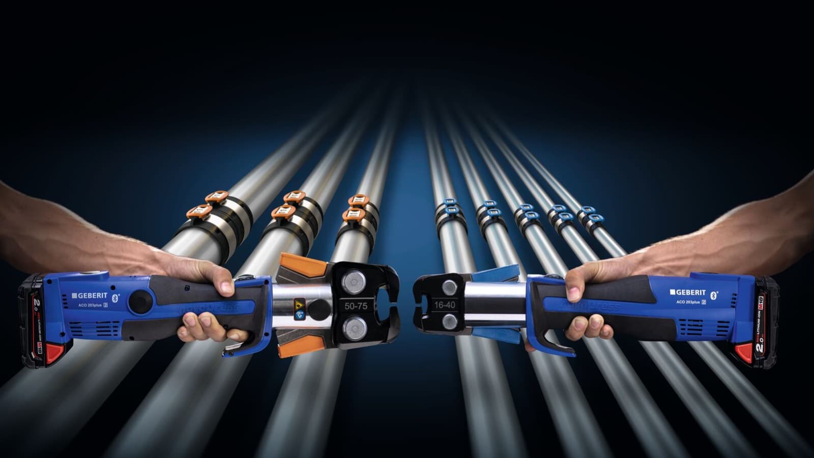 Verwarring tussen de twee persbekken is zeer onwaarschijnlijk dankzij hun kenmerkende oranje en blauwe kleur. Verwarring tussen de twee persbekken is zeer onwaarschijnlijk dankzij hun kenmerkende oranje en blauwe kleur.